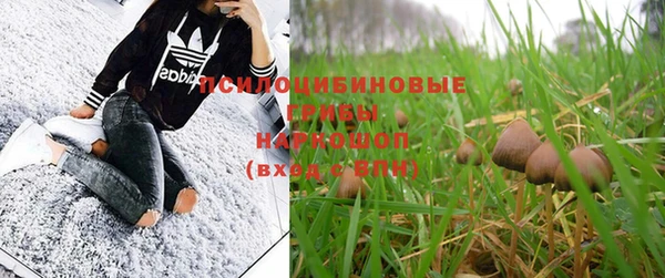 альфа пвп Гусиноозёрск