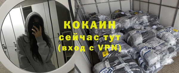 ешки Гусь-Хрустальный