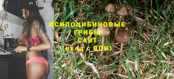 ALPHA PVP Гусев