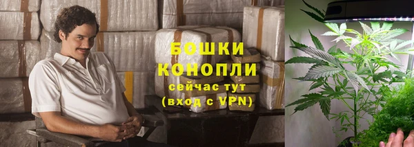 ALPHA PVP Гусев