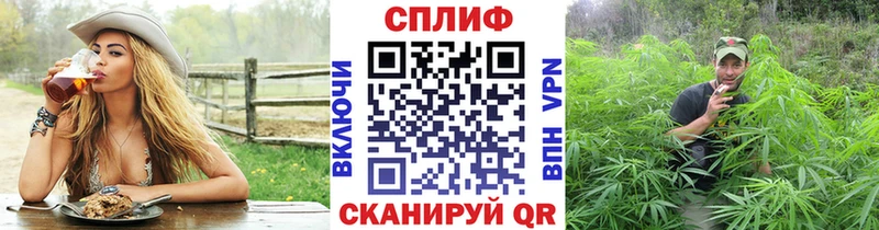 Бошки марихуана конопля Калач